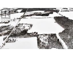 40700274_5