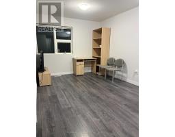 x12858490_13