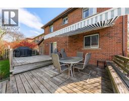 40828581_41