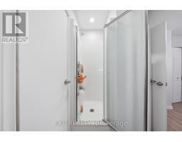x13145996_8