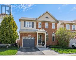 x13163310_2