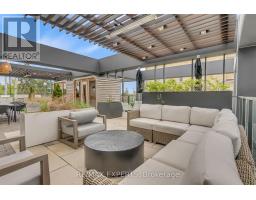 x13225208_22