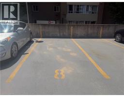 40837537_5