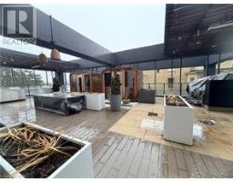 x13509242_28
