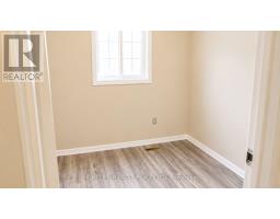x13549806_21
