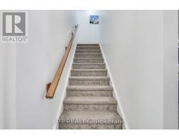 x13614162_21