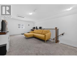 x13614162_41