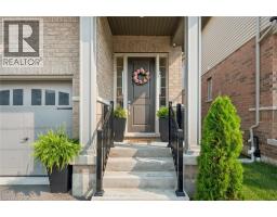 40851341_4