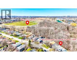 40850913_41
