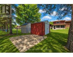 x13583926_38