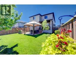 40850279_43