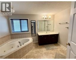 40856427_13
