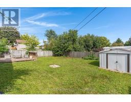 x13764138_33
