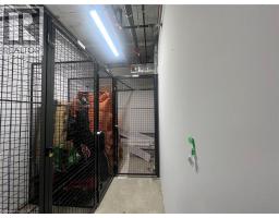 40854487_14