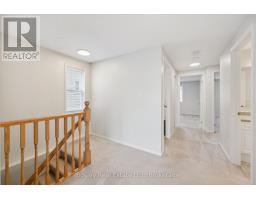 x13817412_19